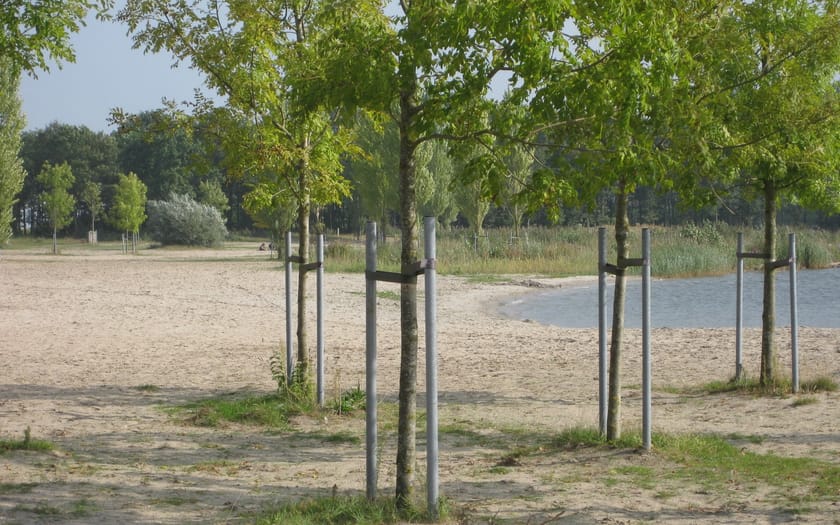 Foto Spijkstrand