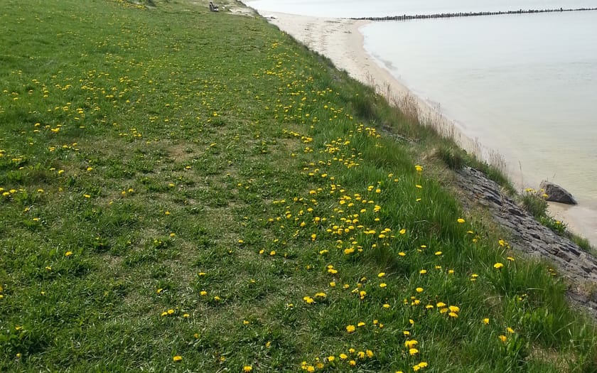 Foto Badpaviljoen IJsselmeer