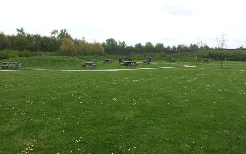 Foto De Vlinderslag