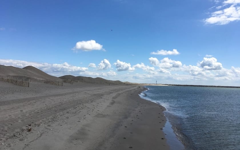 Foto Havenstrand Markerwadden