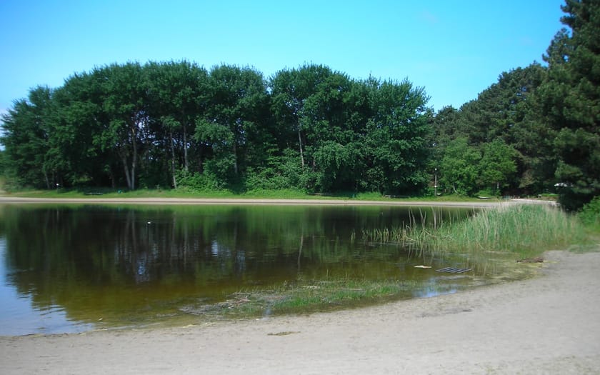 Foto Berkenplas