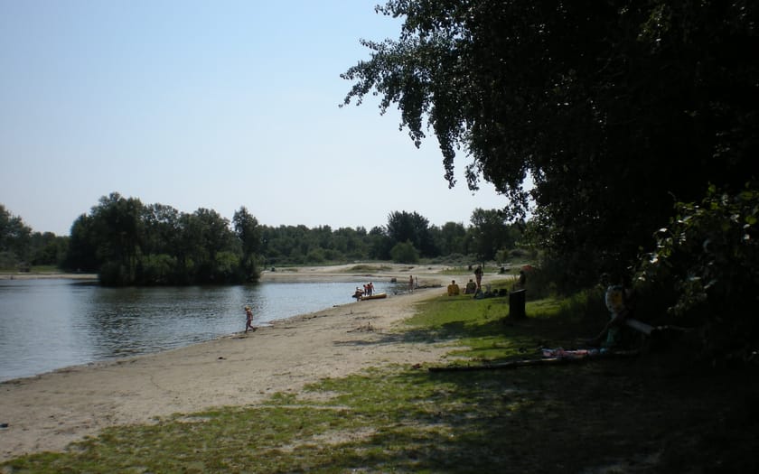 Foto Berkenplas