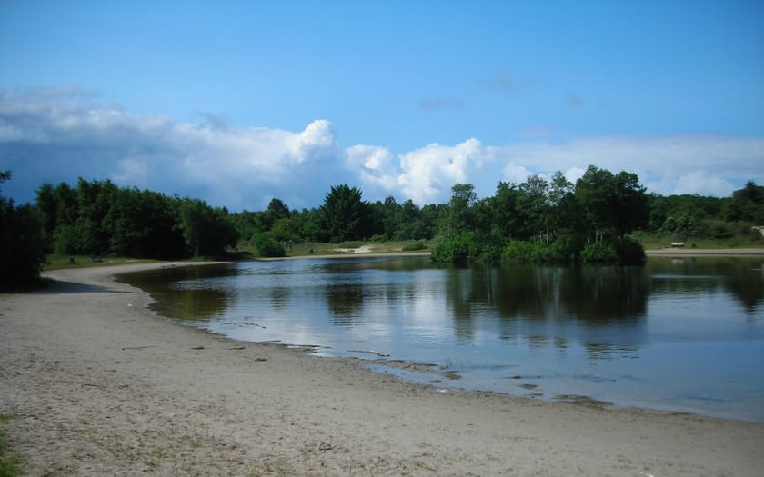Foto Berkenplas