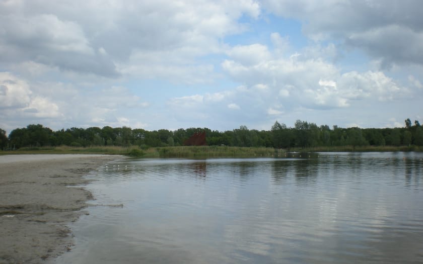 Foto De Heide