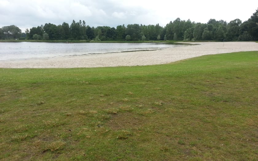 Foto De Heide