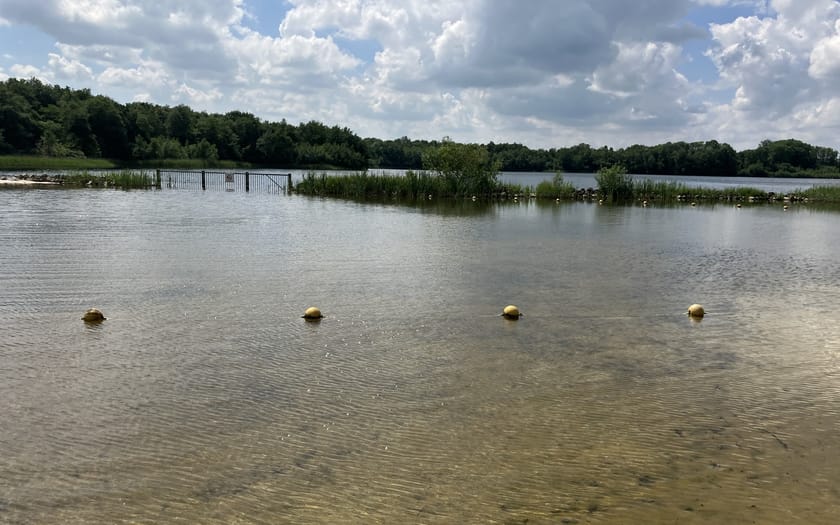 Foto Skûlenboarch, Drogeham